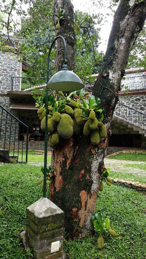 Wildernest Thekkady Exterior foto