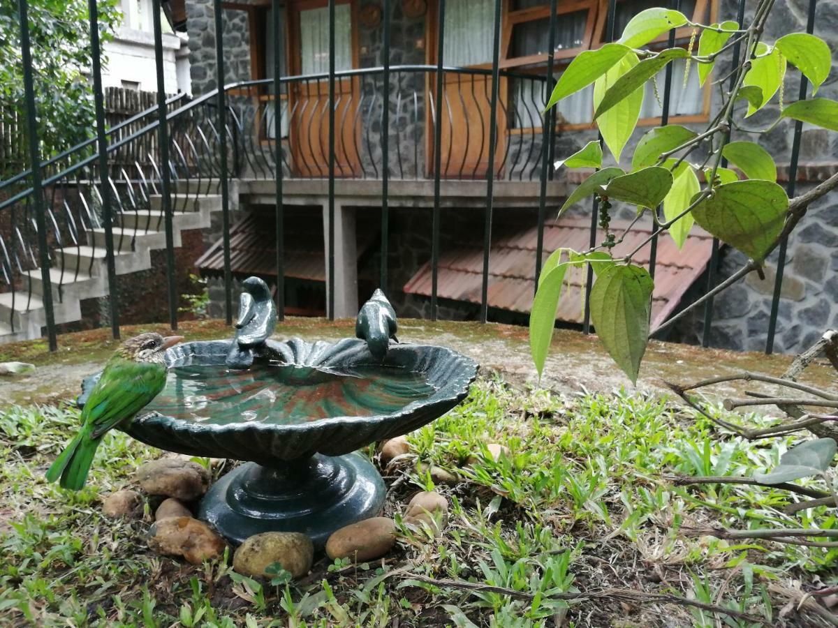 Wildernest Thekkady Exterior foto