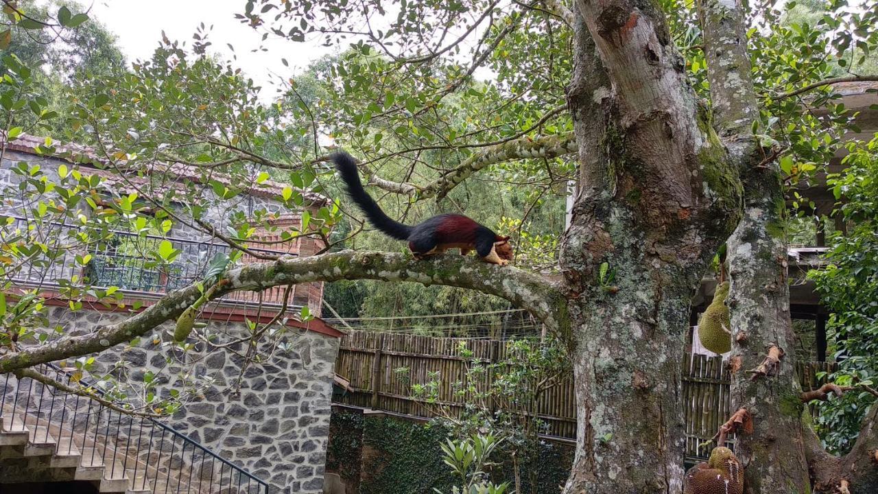 Wildernest Thekkady Exterior foto