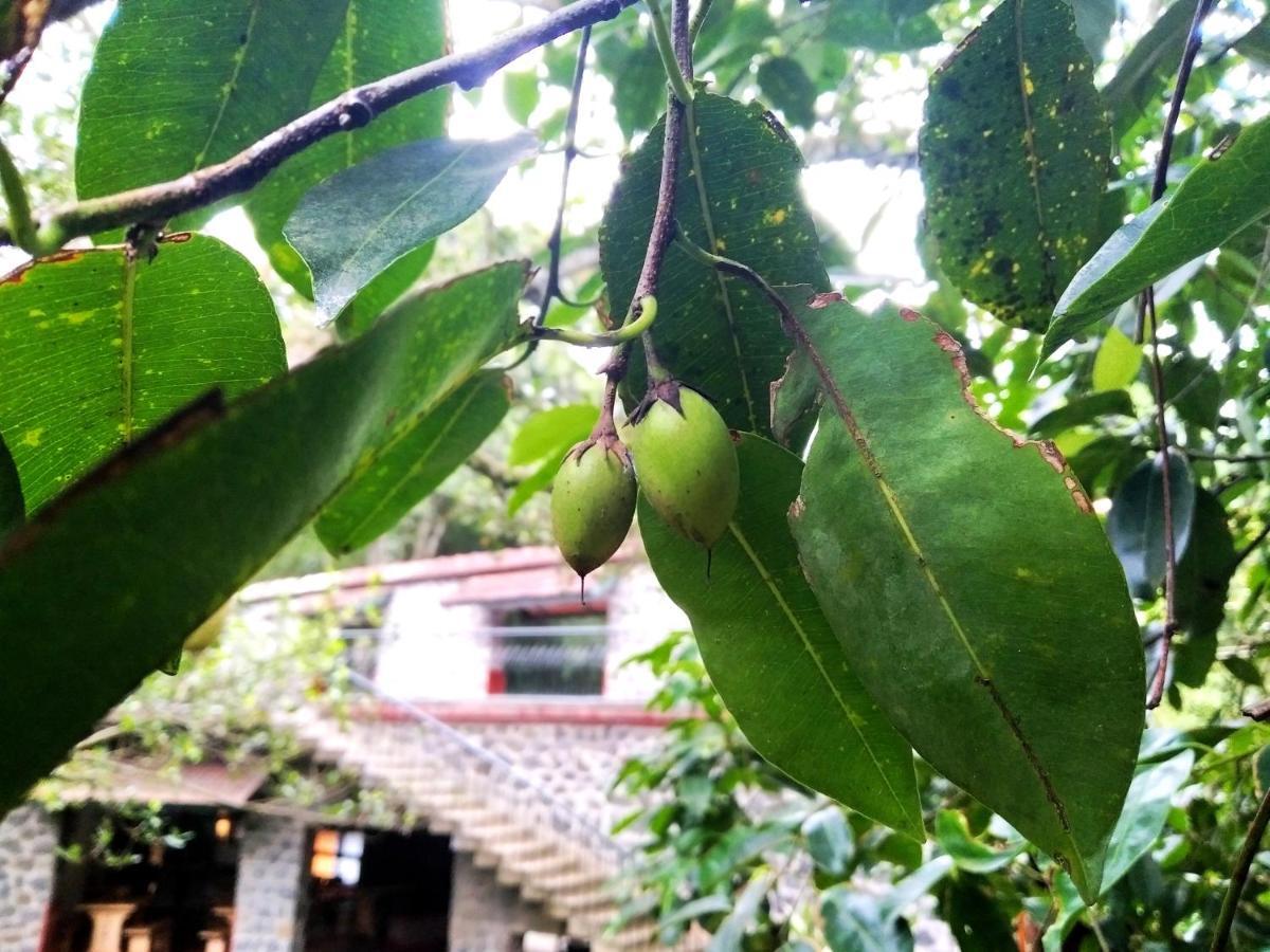 Wildernest Thekkady Exterior foto