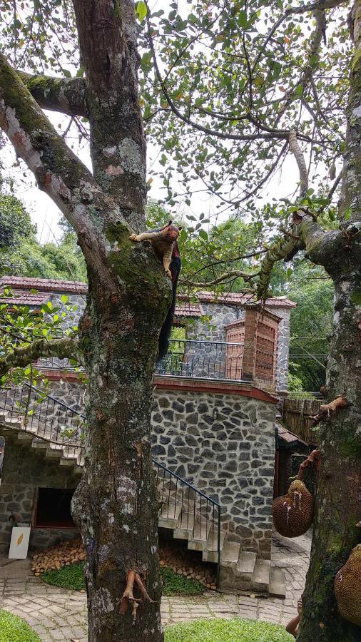 Wildernest Thekkady Exterior foto