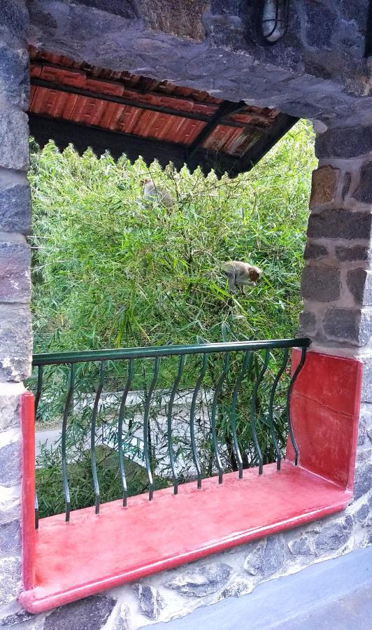 Wildernest Thekkady Exterior foto